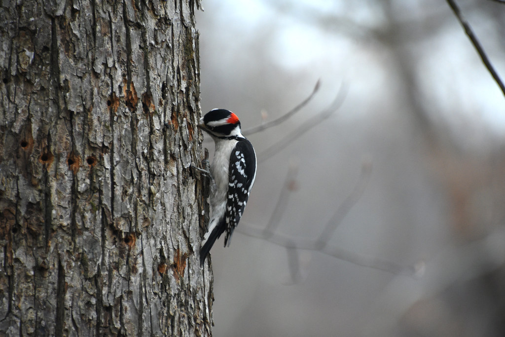 How to Change Your Behavior in 3 Easy Steps: Second Practice the Change